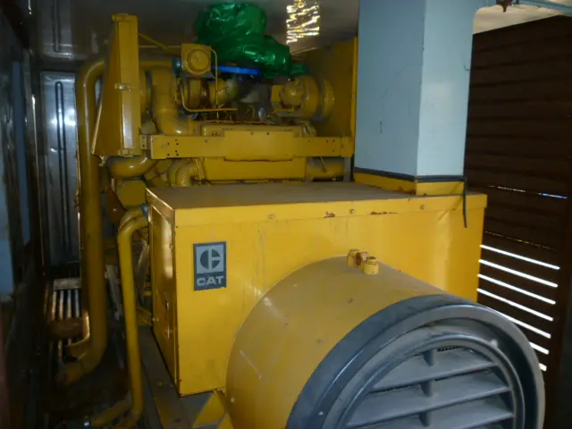 Natural gas generator set