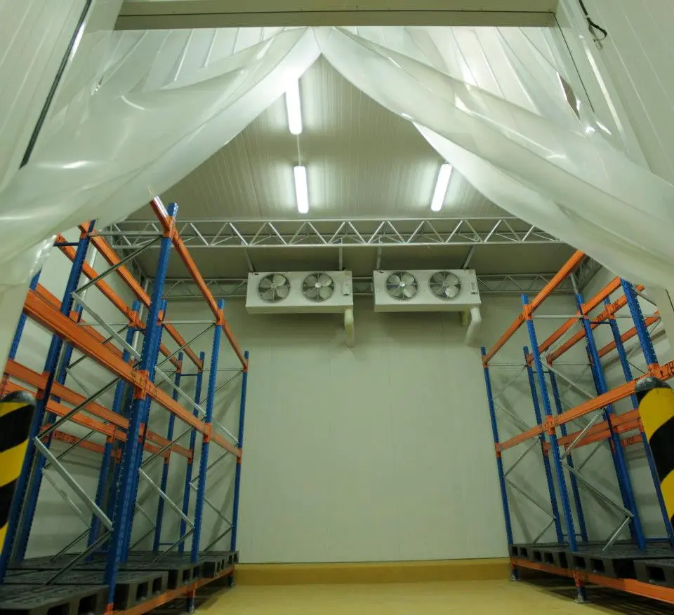 Walk-in cold room built from insulated panels